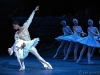 ENB Swan Lake