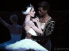 ENB Swan Lake