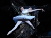 ENB Swan Lake