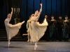 ENB Swan Lake
