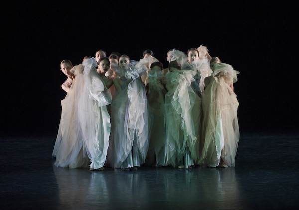 Jardi tancat essay 04 image