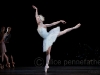Swan Lake