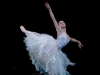 Swan Lake
