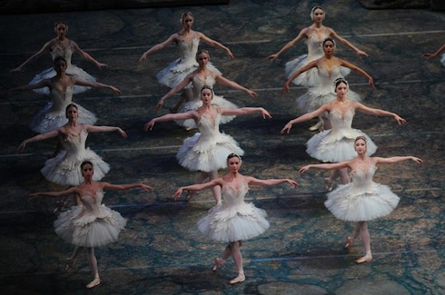 Swan Lake Corps