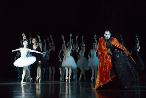 RDB Swan Lake