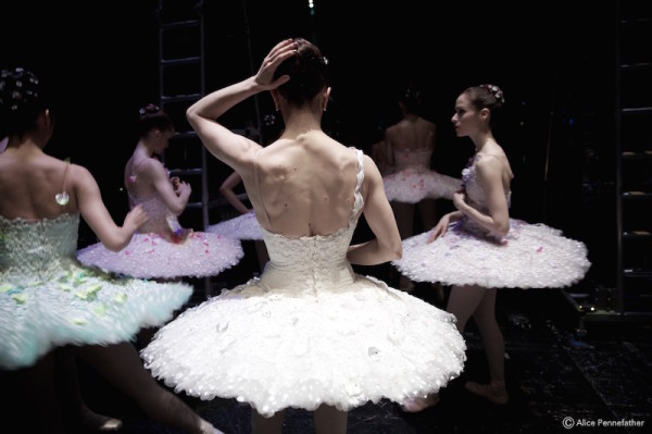 Photo: Â© Alice Pennefather