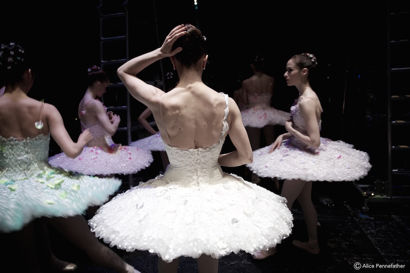 Photo: Â© Alice Pennefather