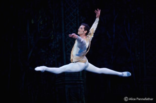 Alejandro Virelles as The Prince
