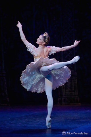 Alina Cojocaru as Clara