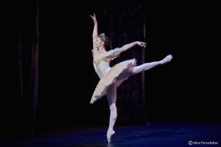 Alina Cojocaru as Clara