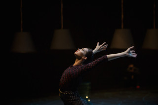 Diana Vishneva: On the Edge