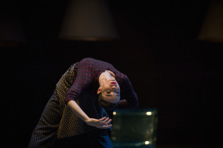Diana Vishneva: On the Edge