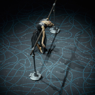 Diana Vishneva: On the Edge