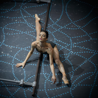 Diana Vishneva: On the Edge