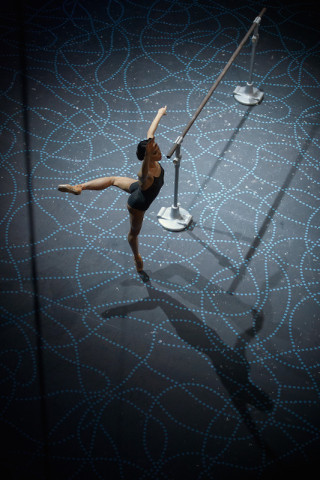 Diana Vishneva: On the Edge
