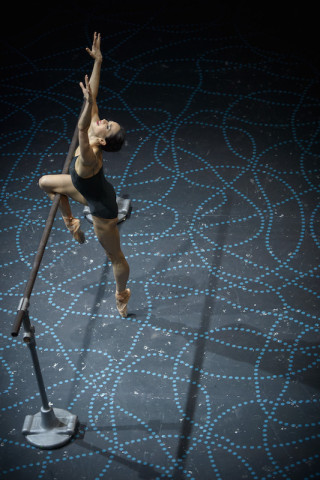 Diana Vishneva: On the Edge