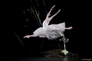 Natalia Osipova as Giselle