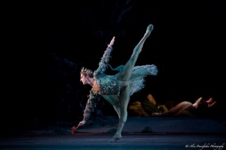 Steven McRae in Ashton's The Dream