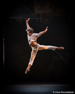 Matthew Ball in The Judas Tree