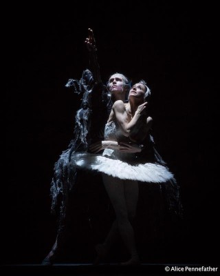 Marianela NÃºÃ±ez as Odette and Bennet Gartside as Von Rothbart in the Royal Ballet's Swan Lake