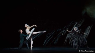 Marianela NÃºÃ±ez as Odette, Vadim Muntagirov as Prince Siegfried, Bennet Gartside as Von Rothbart and Artists of the Royal Ballet in Liam Scarlett's Swan Lake