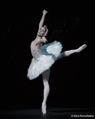 Marianela NÃºÃ±ez as Odette in the Liam Scarlett's Swan Lake