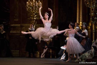 Akane Takada in the Royal Ballet's Swan Lake.