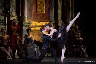 Marianela NÃºÃ±ez as Odile and Vadim Muntagirov in the Royal Ballet's Swan Lake