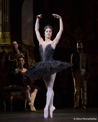 Marianela NÃºÃ±ez as Odile in Liam Scarlett's Swan Lake