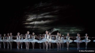 Artists of The Royal Ballet in The Royal Ballet's Swan Lake